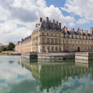 Forest of Fontainebleau